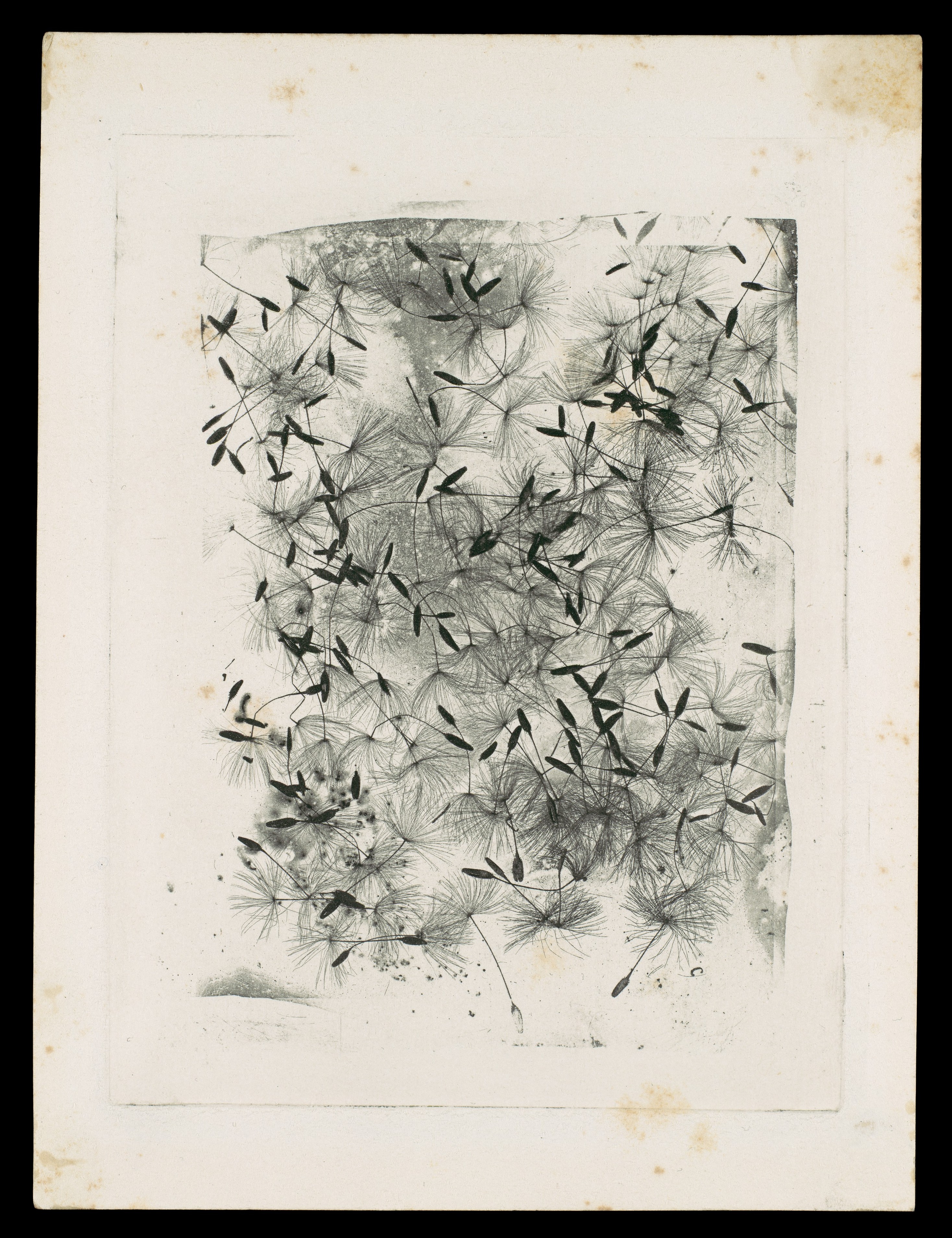 William Henry Fox Talbot