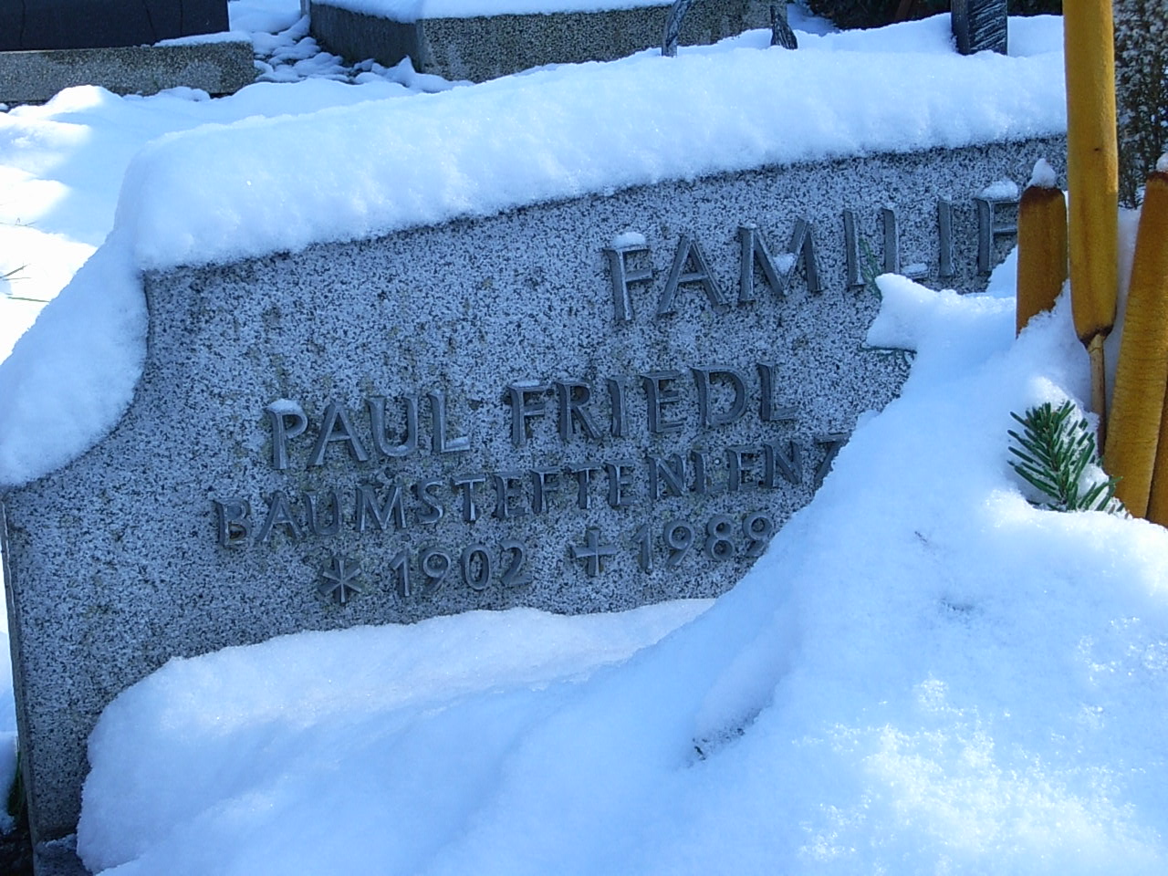 Paul Friedl