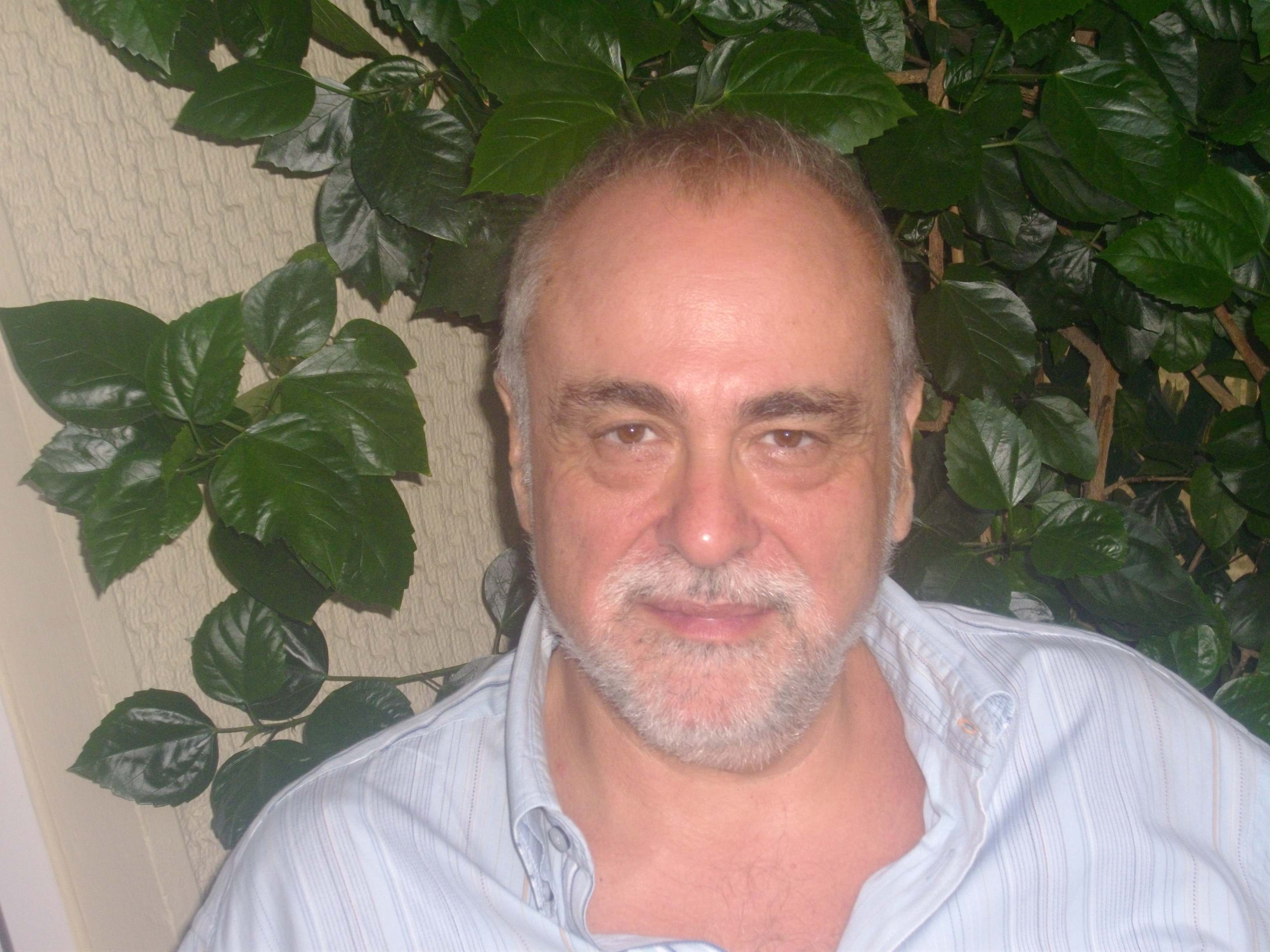 Dimitris Michalopoulos