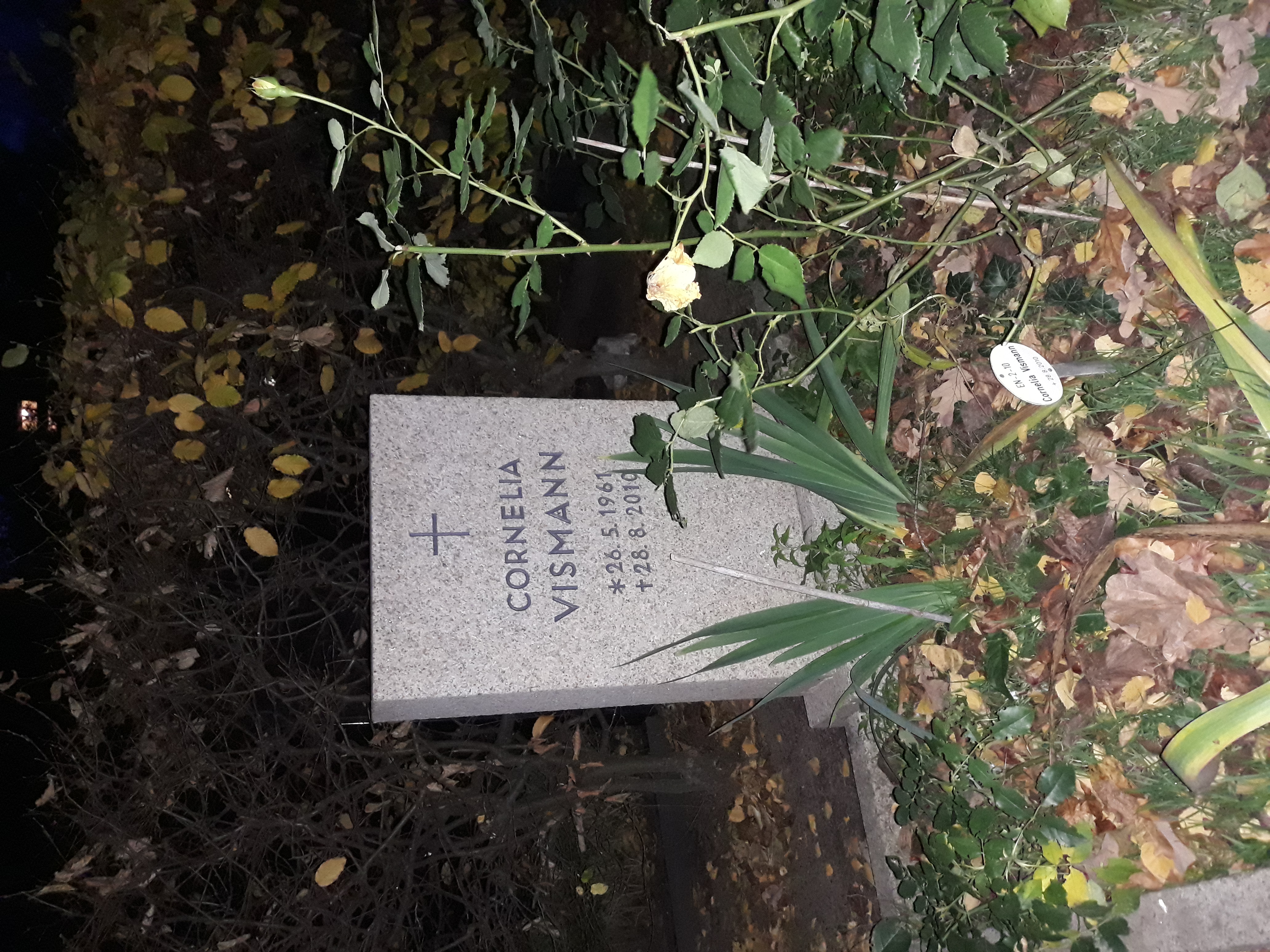 Cornelia Vismann