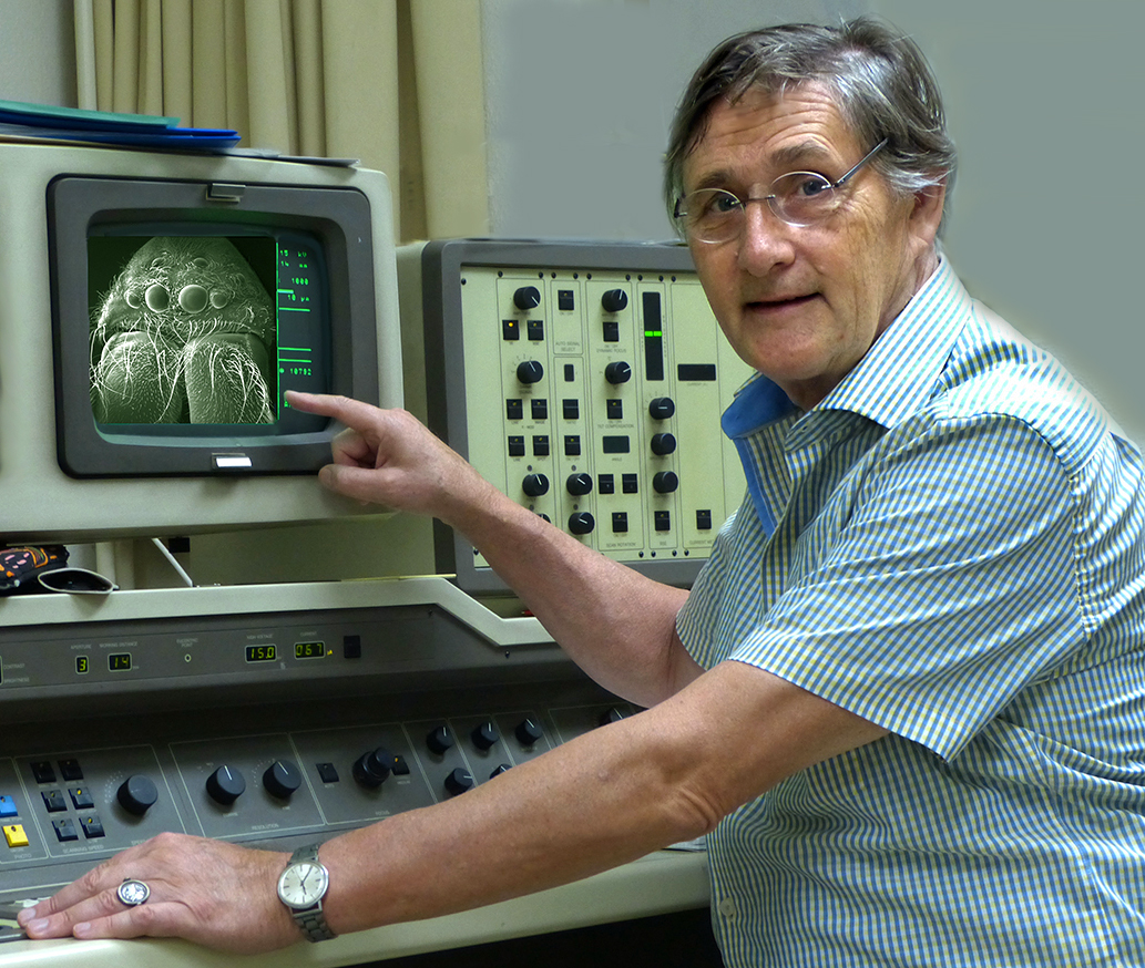 Rainer Foelix