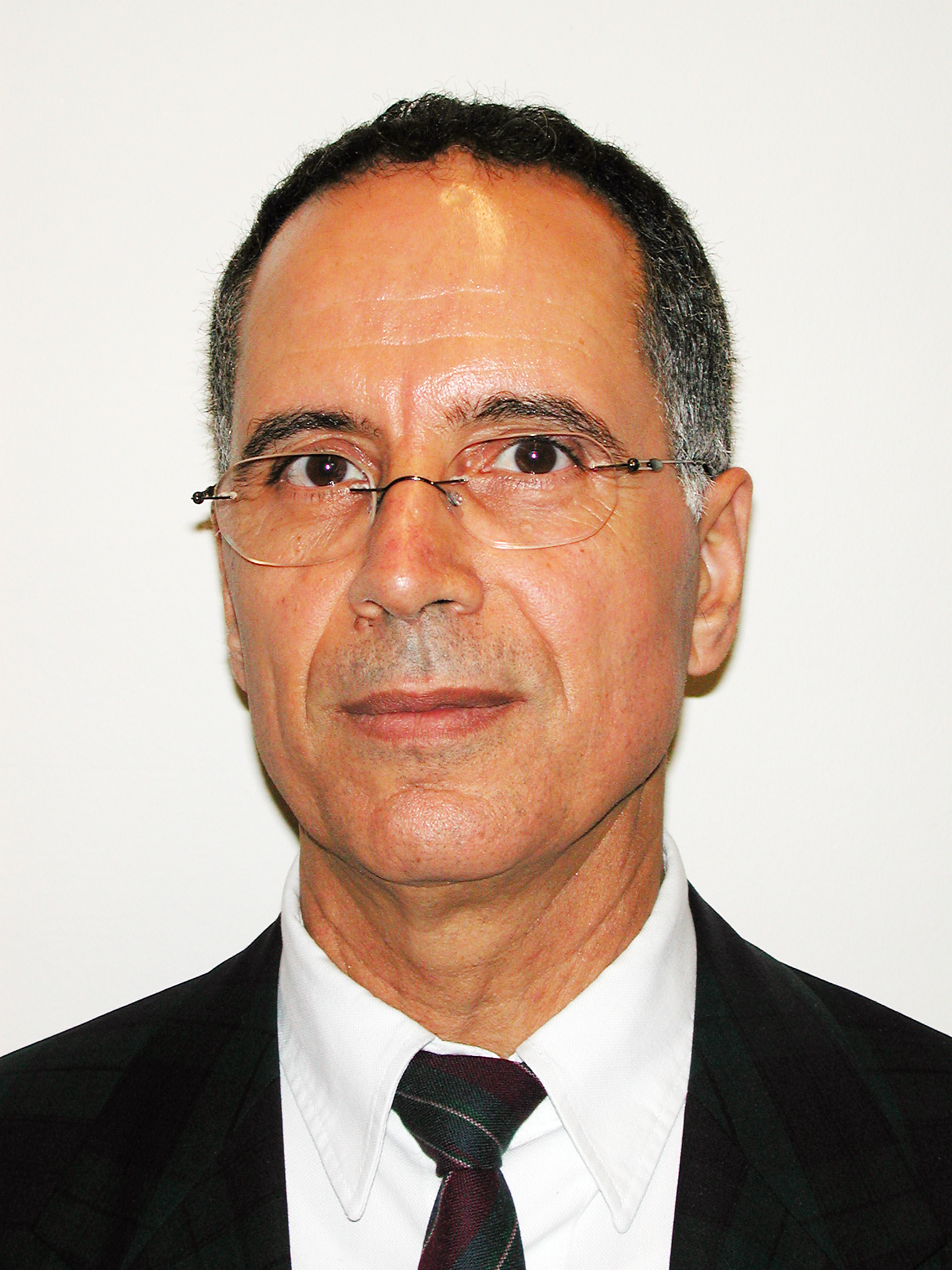 Ibrahim Elmadfa