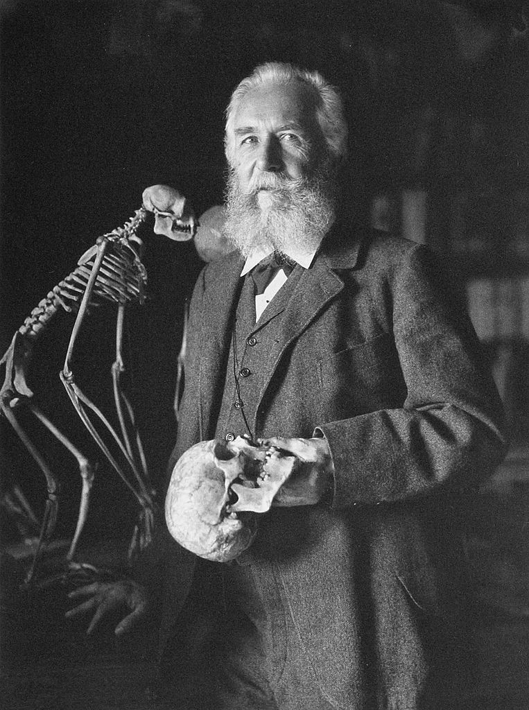 Ernst Haeckel