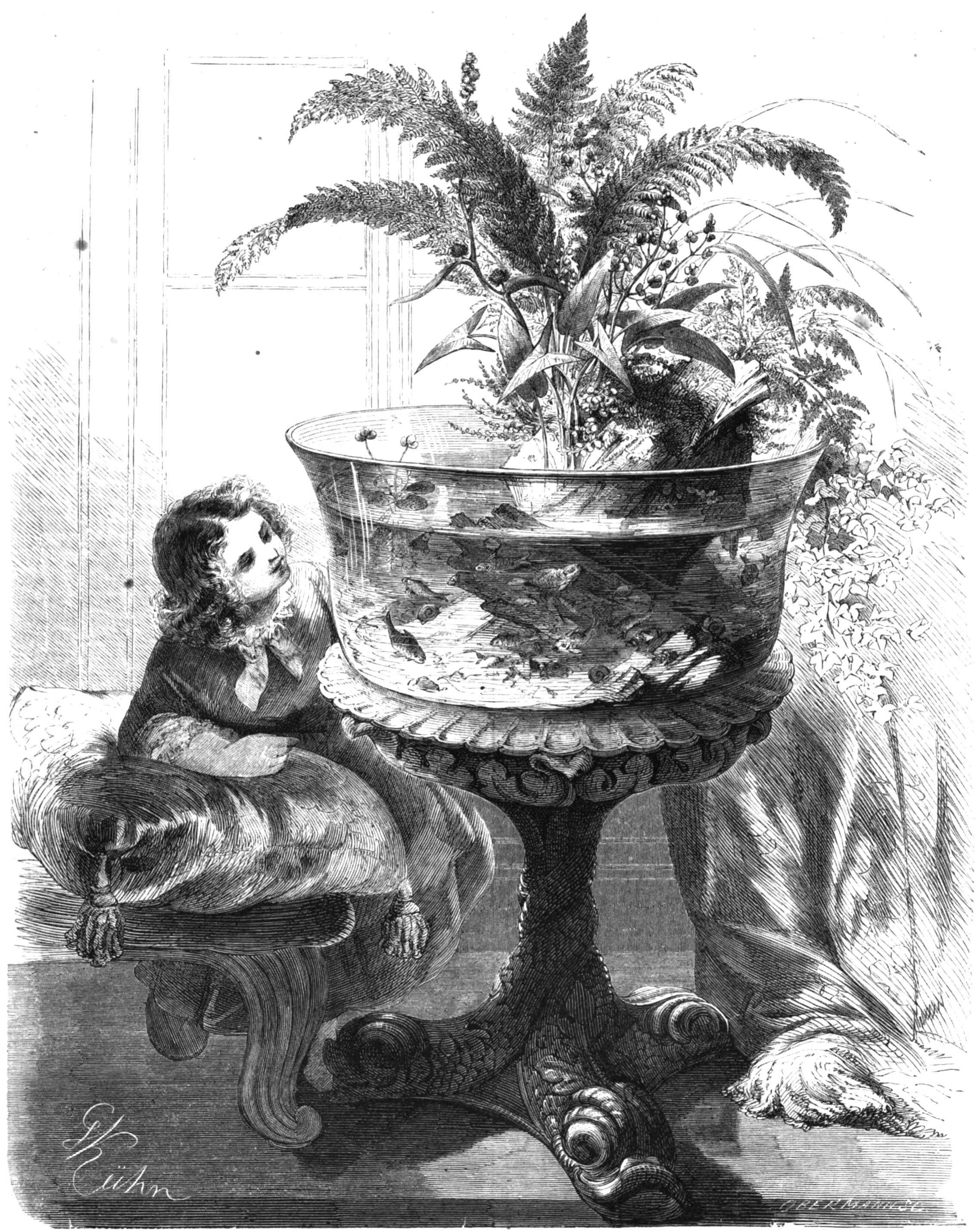 Emil Adolf Roßmäßler