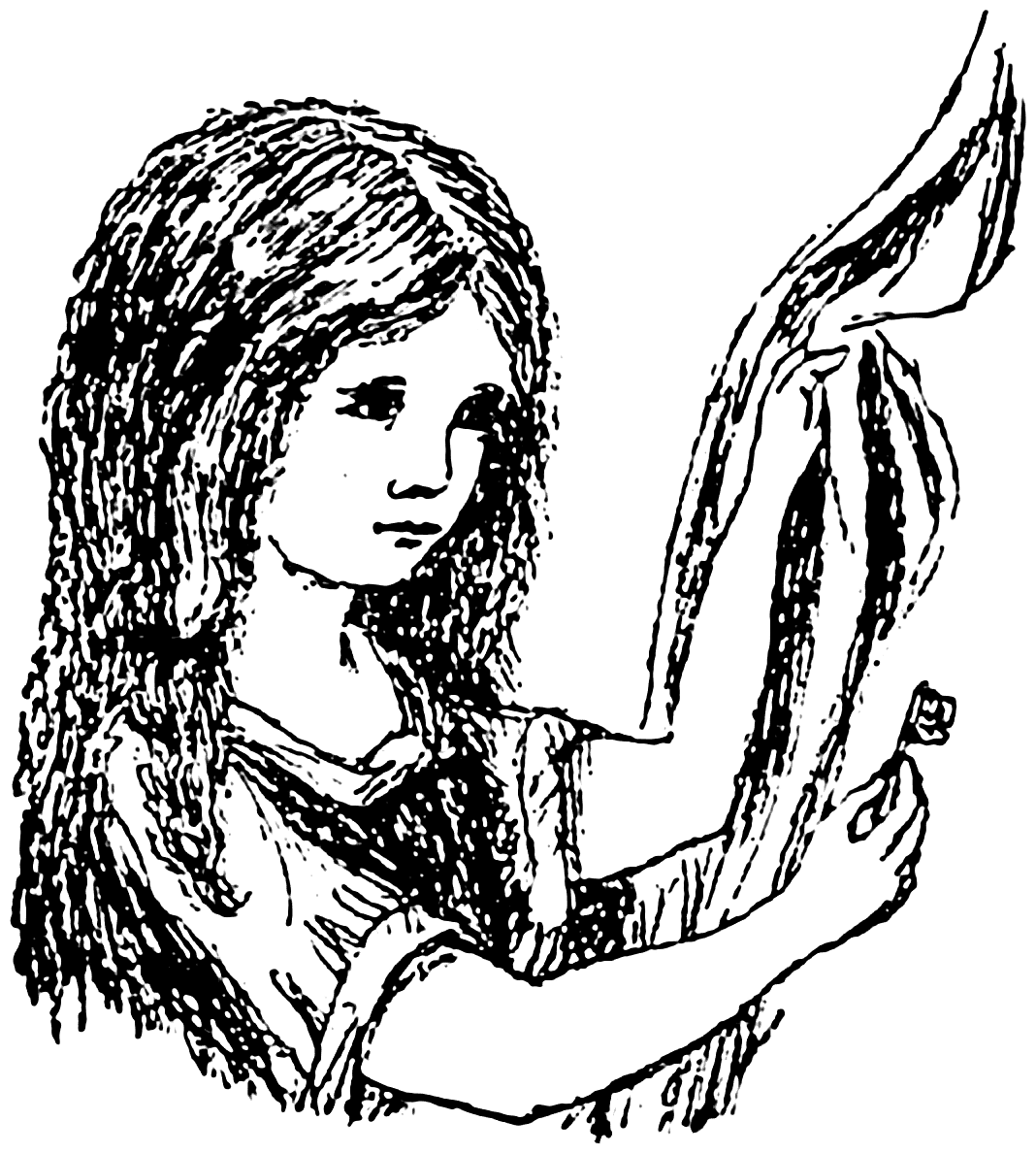 Lewis Carroll