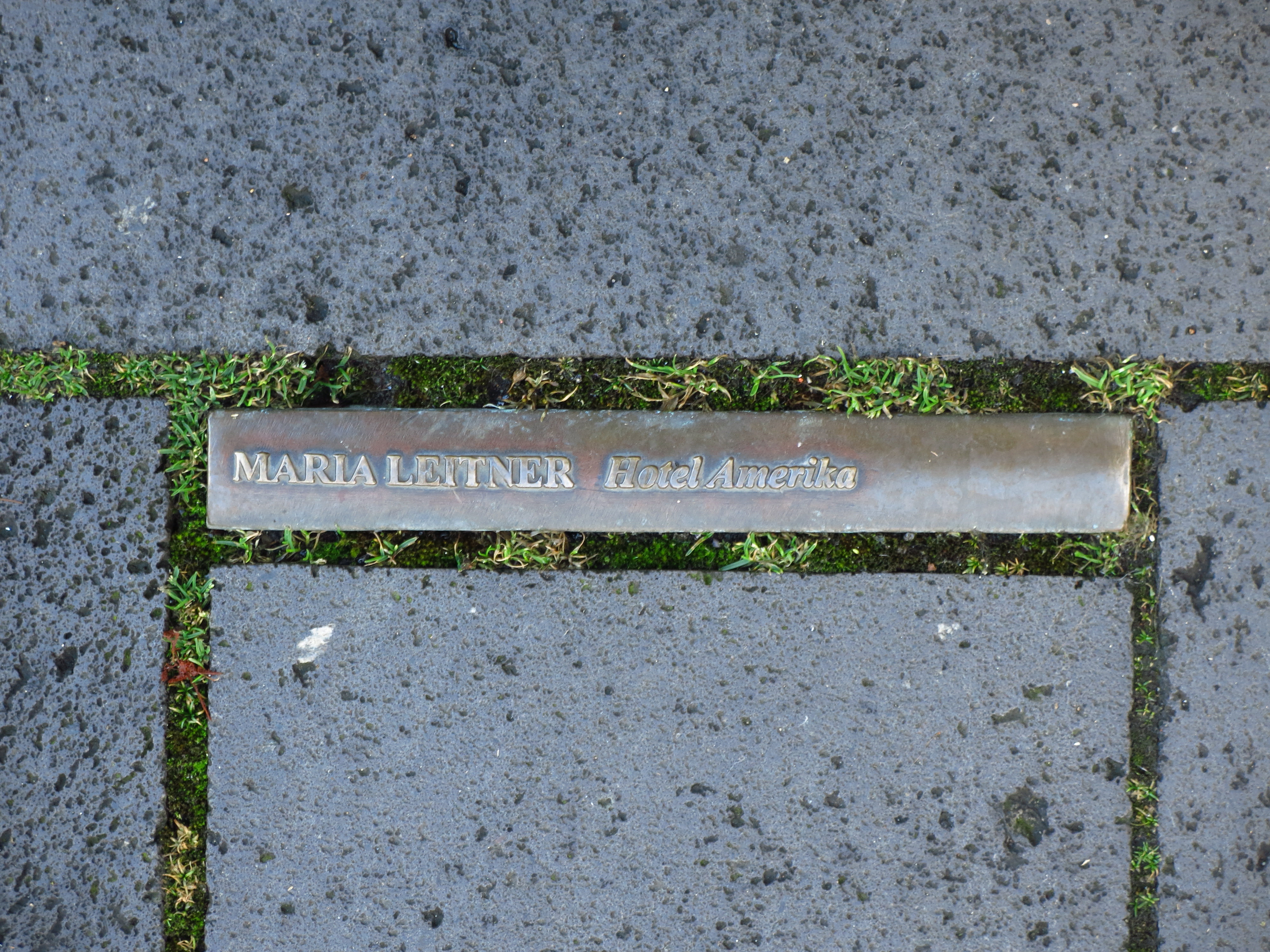 Maria Leitner