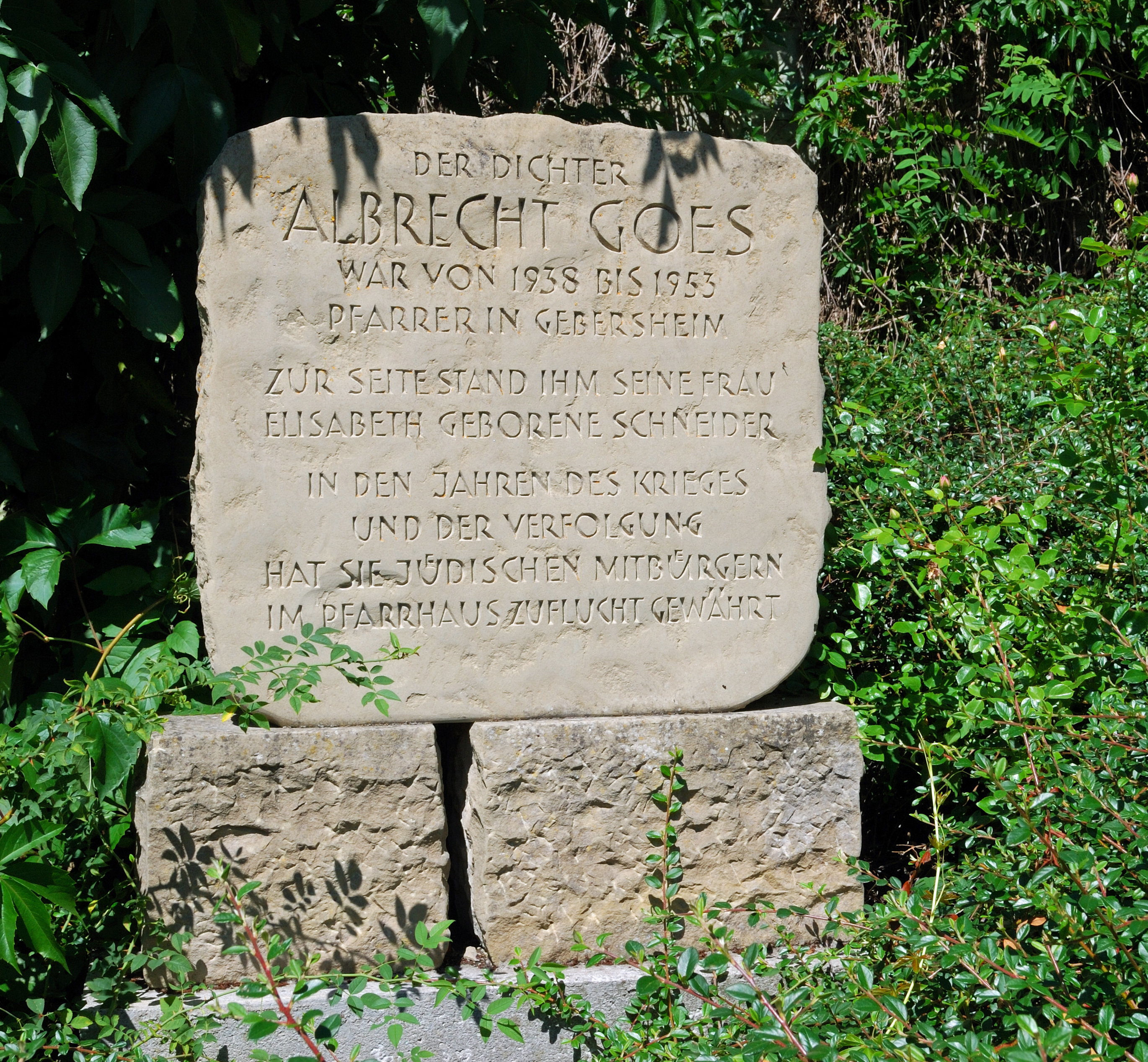 Albrecht Goes