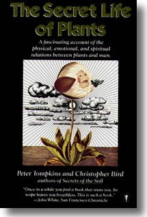 Christopher Bird