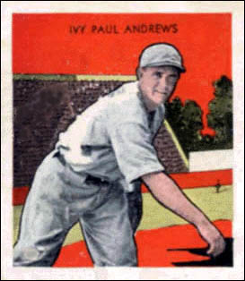 Ivy Andrews