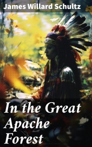In the Great Apache Forest