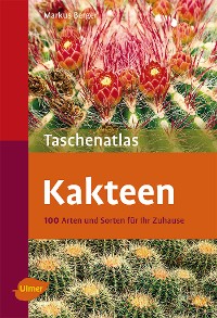 Kakteen