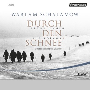 Durch den Schnee