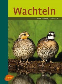 Wachteln