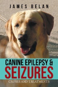 Canine Epilepsy & Seizures