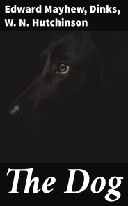 The Dog