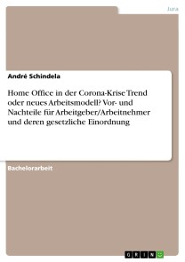 Home Office in der Corona-Krise Trend oder neues Arbeitsmodell? Vor- und Nachteile für Arbeitgeber/Arbeitnehmer und deren gesetzliche Einordnung