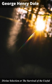 Divine Selection or The Survival of the Useful