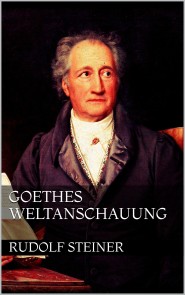Goethes Weltanschauung