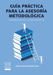 Guía práctica de la asesoría metodológica