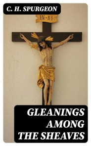 Gleanings among the Sheaves