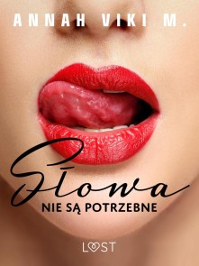 Słowa nie są potrzebne - opowiadanie erotyczne