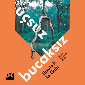 Uçsuz Bucaksız