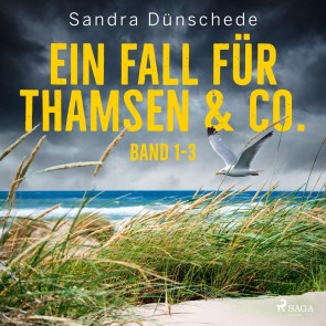 Ein Fall für Thamsen & Co.