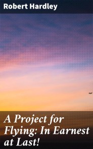 A Project for Flying: In Earnest at Last!