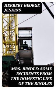 Mrs. Bindle: Some Incidents from the Domestic Life of the Bindles