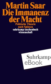 Die Immanenz der Macht