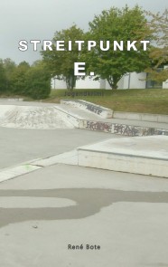 Streitpunkt E.