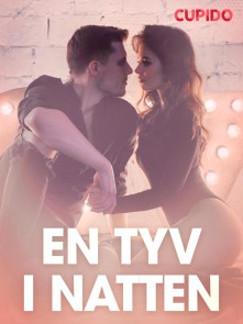 En tyv i natten - erotiske noveller