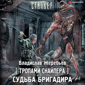 Tropami Snajpera. Sud'ba Brigadira