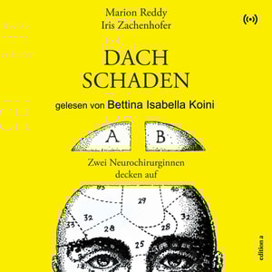 Dachschaden