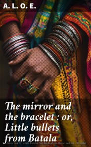 The story of Flamenca