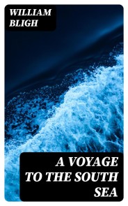 A Voyage to the South Sea
