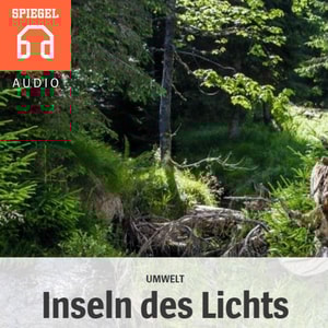 Umwelt: Inseln des Lichts