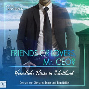 Friends or Lovers, Mr. CEO