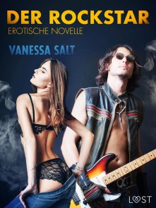 Der Rockstar: Erotische Novelle