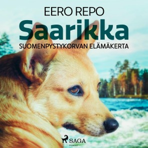 Saarikka