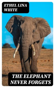The Elephant Never Forgets