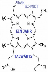 ein Jahr talwärts