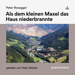 Als dem kleinen Maxel das Haus niederbrannte