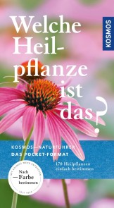 Welche Heilpflanze ist das?