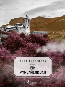 Ein Pyrenäenbuch