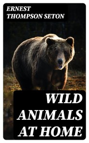 Wild Animals at Home