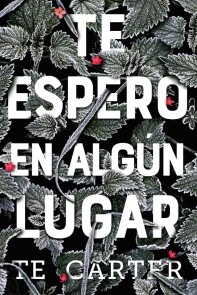 Te espero en algún lugar