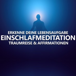 Erkenne deine Lebensaufgabe