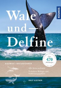 Wale und Delfine
