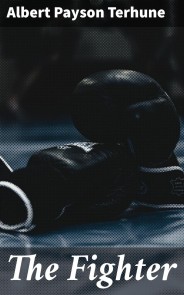 The Fighter